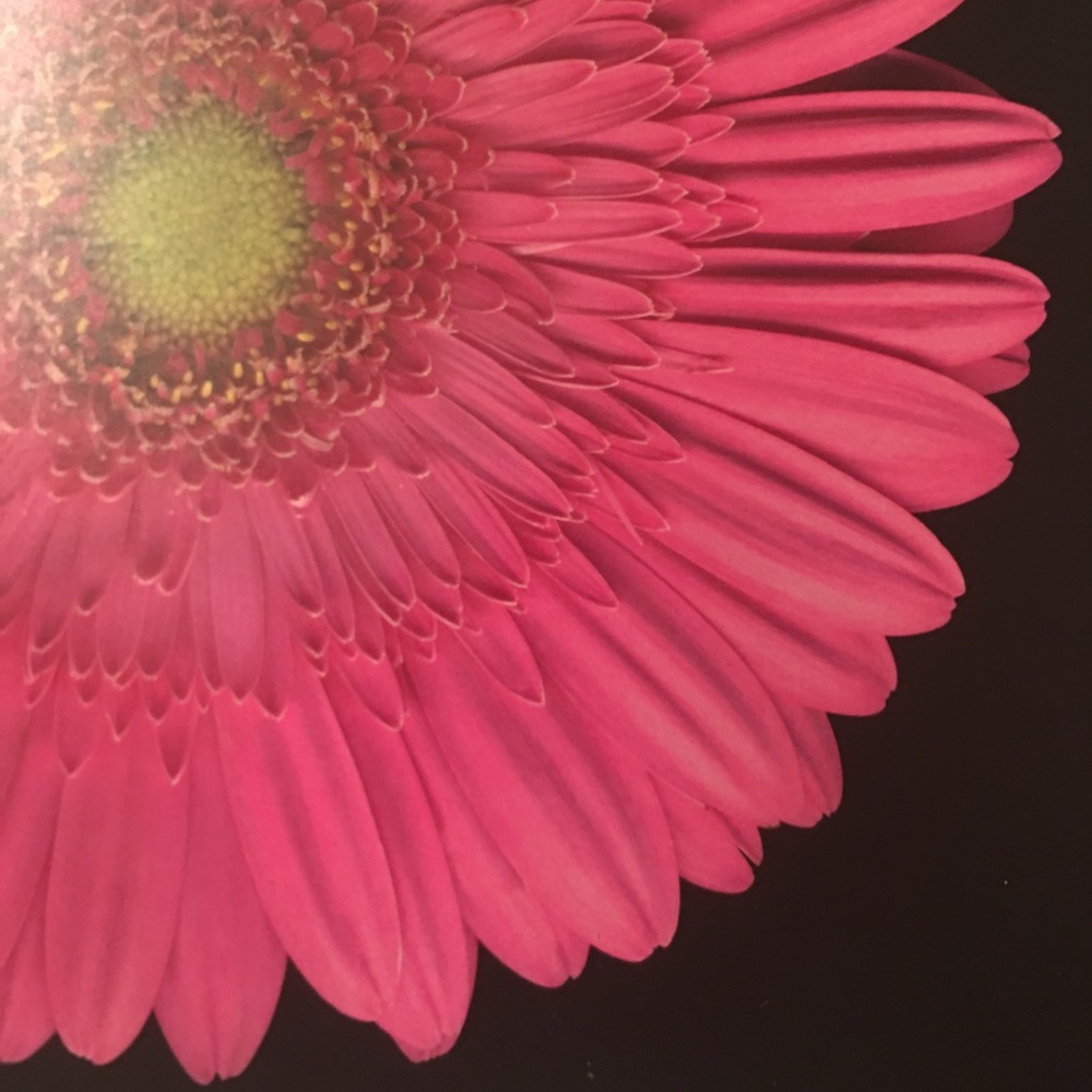 Wall Plaque PINK Daisy, Wood - Picture 2 of 5